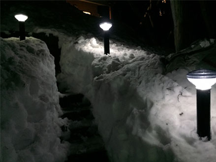 Solar Bollard Lights 